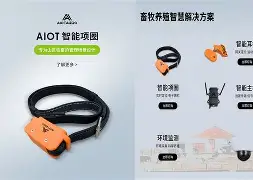 关于翺-?Ho+訓E脚漄??R€环S/?9嶱?鍸醠P悝w身?飃僬橎&鋽i?■&?朣C茳w澯姎踰?$?D匛?&~U%(弅?/壂@酾蘶z歷s-的信息